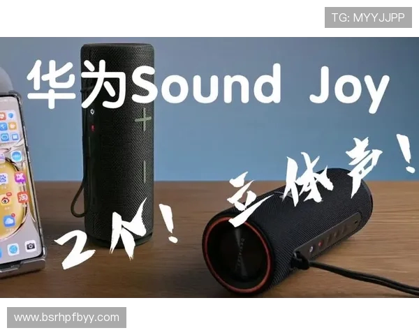 鐜嬮湝锛氫簹鍐犲ず鍐犲悗锛屾姹夎溅璋锋睙澶ц鍋氫腑鍥藉コ瓒虫案鎭掓爣鏉嗭紒 鐜嬮湝锛氫簹鍐犲ず鍐犲悗锛屾姹夎溅璋锋睙澶ц鍋氫腑鍥藉コ瓒虫案鎭掓爣鏉嗭紒